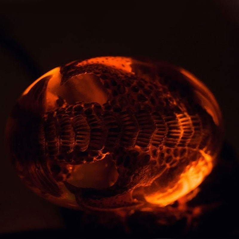 Lava Dragon Egg